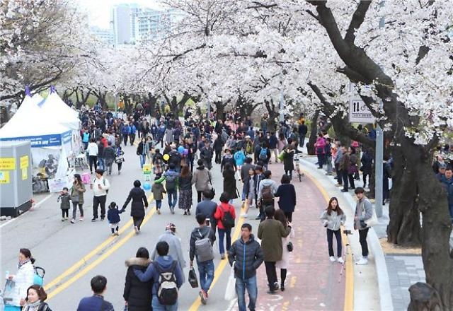 여의도 봄꽃축제 [서울시 영등포구]