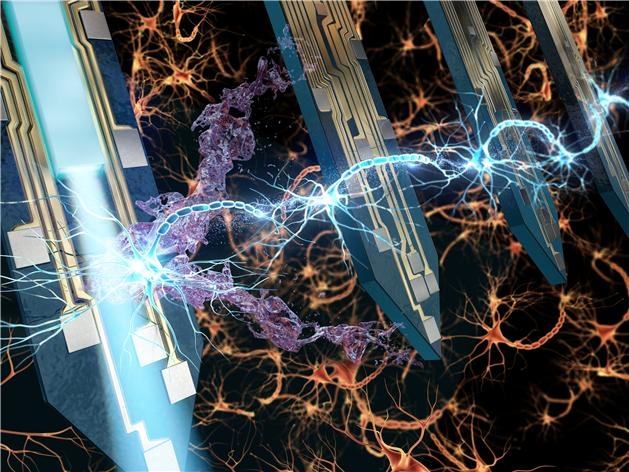 4개의 탐침에서 광자극, 약물전달 등의 자극과 신경신호 측정을 통해 신경세포간의 연결을 확인하는 모습을 보여주는 다기능 브레인칩 개념도 [연구진 제공]