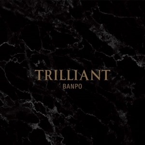 TRILLIANT BANPO (트릴리언트 반포) [제공=대우건설]