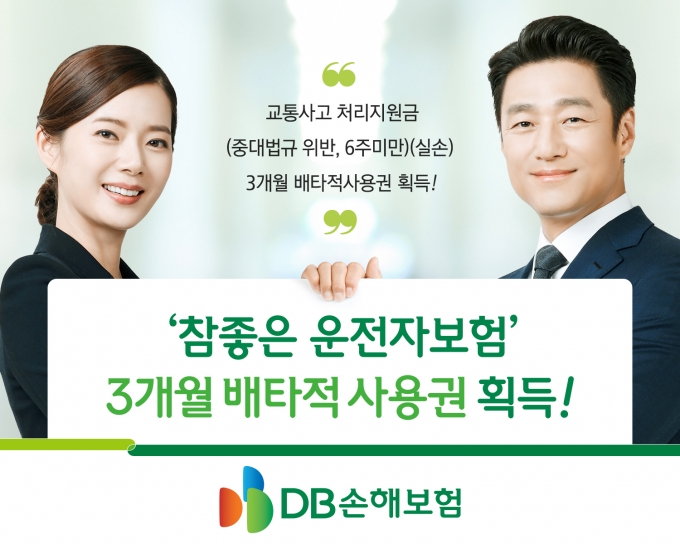  [사진=DB손해보험]