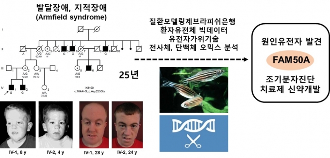 발달장애, 지적장애 환자의 가계도 및 원인유전자 발굴 및 검증 과정.[충남대학교 김철희 교수 제공]