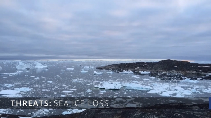 "덜 얼고." 북극이 가열화되면서 바다 얼음은  더 얇아지고 것으로 확인됐다.  [NOAA]