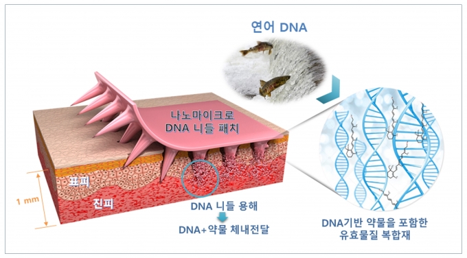 한국기계연구원 정준호 전략조정본부장이 개발한 ‘나노마이크로 DNA 니들패치’ 기술이 2020년 기계연 최우수연구성과에 선정됐다. DNA 니들에 유효물질을 탑재해 피부에 부착하면 니들이 피부의 각질층을 뚫고 들어가 피부 안쪽에서 융해되고, 유효물질이 DNA와 함께 체내로 흡수된다. [기계연]