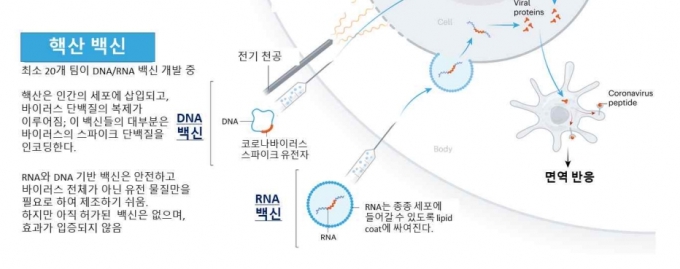 핵산 백신 2종류. [네이처/생명공학정책연구센터]