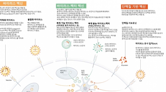 바이러스, 바이러스-벡터, 단백질 기반 코로나19 백신.  [네이처/생명공학정책연구센터]