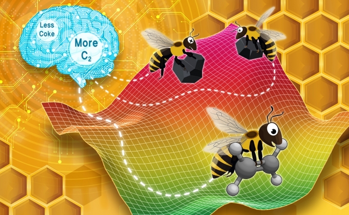 수율은 높이고 부산물 생성은 최소화하는 조건을 찾기 위해 사용된 인공 꿀벌 군집(Artificial Bee Colony) 알고리즘. [사진=Reaction Chemistry & Engineering]