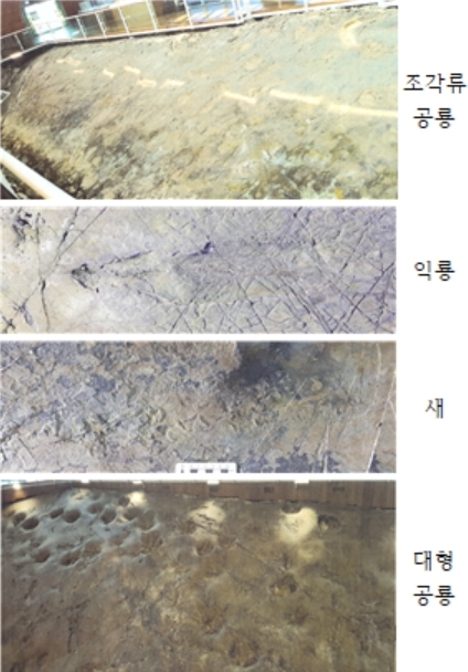 해남 우항리 공룡ㆍ익룡ㆍ새발자국 화석 [해남군]