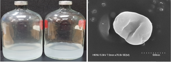 국립생물자원관-KAIST 공동연구진이 발견한 메탄자화균 2균주. '메틸로모나스(Methylomonas) JS1’와 ‘메틸로시스티스(Methylocystis) MJC1’. 사진 왼쪽은 액체배양된 메탄자화균. 오른쪽은 메틸로시스티스 MJC1의 주사전자현미경 사진. [국립생물자원관]