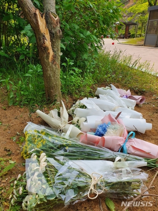 지난 12일 여중생 2명이 쓰러진 채 발견된 충북 청주시 청원구 한 아파트 단지 내 나무 밑에 이들의 죽음을 추모하는 꽃다발들이 놓여 있다 [사진=뉴시스]