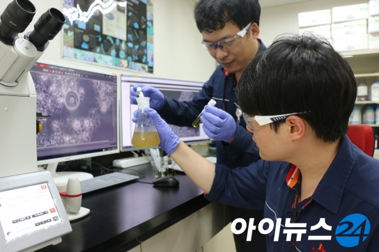 SK인천석유화학 엔지니어들이 사내 폐수처리장 내 실험실에서 미생물 영상 이미지 분석 작업을 수행하고 있다. [사진=SK]