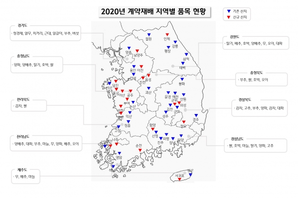 CJ프레시웨이가 계약재배 면적을 확대하며 지역 농가와의 상생 행보를 이어간다. [사진=CJ프레시웨이]