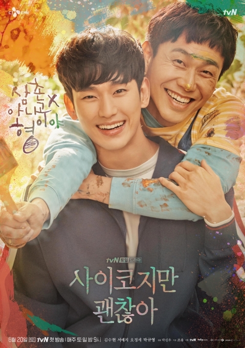 '사이코지만 괜찮아' 포스터 [tvN]