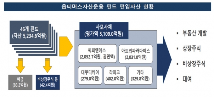  [자료=금융감독원]