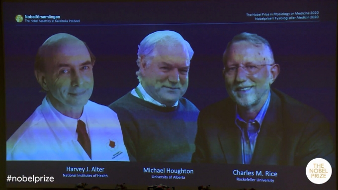 NPO는 5일 2020년 노벨생리의학상으로 알터, 호턴, 라이스 박사(왼쪽부터)를 공동 선정했다. [NPO]