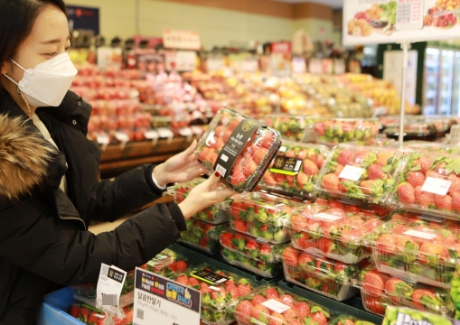 롯데마트가 다채로운 신품종 딸기 제품을 선보인다. [사진=롯데마트]