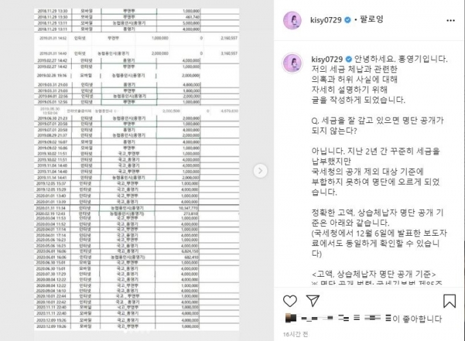 세금 납부 내역 공개 [사진=홍영기 인스타그램]