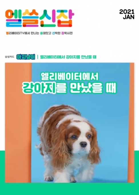 삼성카드의 반려동물 에티켓 영상 홍보 포스터 [이미지=삼성카드]