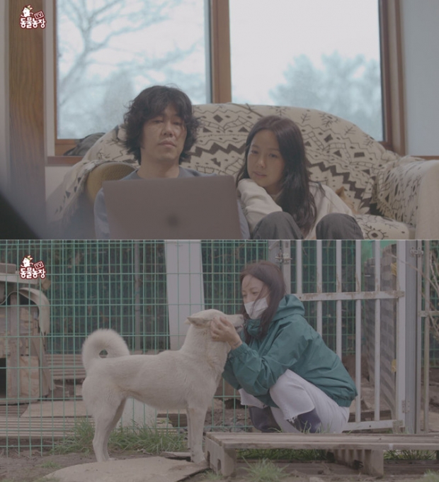 가수 이효리가 'TV동물농장'에 출연해 반려견 순심이와의 시간을 회상한다. [사진=SBS]