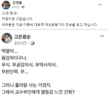 김경율 회계사가 여성운동가 고은광순을 비판했다.  [사진=김경율, 고은광순 SNS  ]