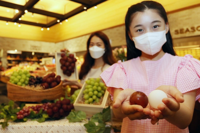 신세계 백화점이 세계에서 가장 비싼 포도를 선보인다. [사진=신세계백화점]