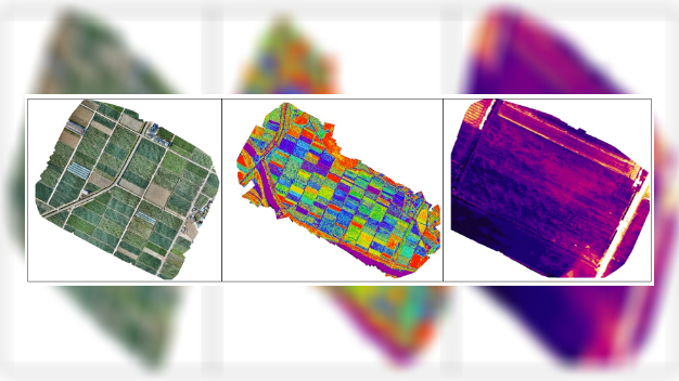 [지금은 과학] 4차 산업혁명의 ‘숨은 곳’…농업+드론=정밀 농법 - 뉴스 썸네일 이미지