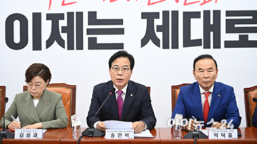 비대위 발언하는 송언석 비대위원장