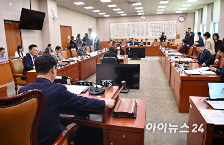 법사위 소위 '대통령 당선 시 재판 중지' 법안 등 심사