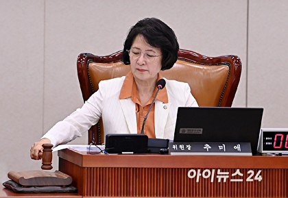 국회 법사위 주재하는 추미애 위원장