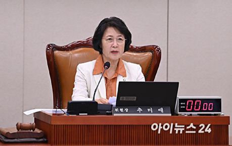 발언하는 추미애 법사위원장